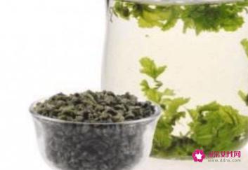 霜桑叶的功效与作用