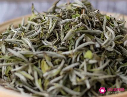 白茶的功效与作用都有哪些
