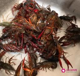 龙虾怎么做好吃又简单麻辣