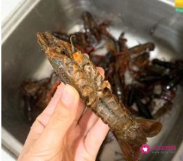 龙虾怎么做好吃又简单麻辣
