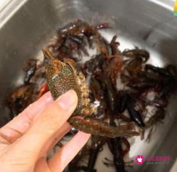 龙虾怎么做好吃又简单麻辣