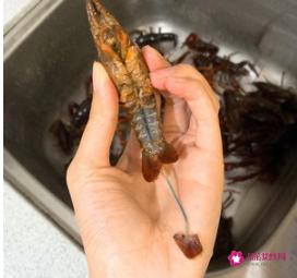 龙虾怎么做好吃又简单麻辣