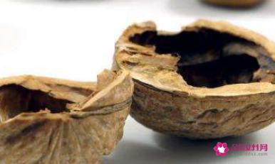 核桃壳有什么作用