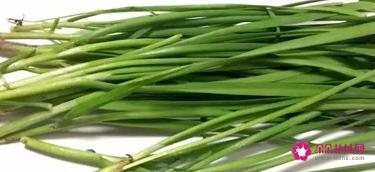 100道素菜菜谱