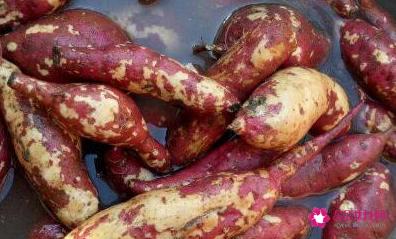 烤红薯烤箱温度和时间是多少