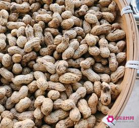 卤水花生怎么煮好吃又入味