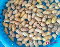 卤水花生怎么煮好吃又入味