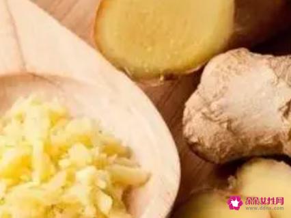 醋泡姜的功效和作用