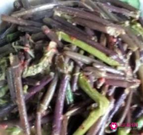 蕨菜的做法大全家常