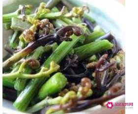 蕨菜的做法大全家常