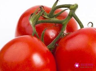 十大漂亮减肥食谱