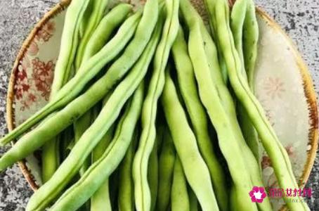 芸豆的营养价值与功效