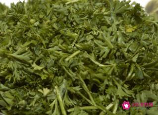 马齿苋菜的作用和功效