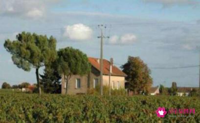 世界十大顶级酒庄