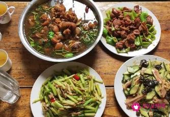 家常菜谱大全