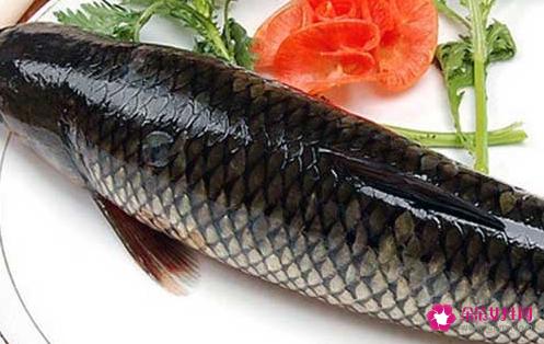 草鱼的营养价值及功效是什么