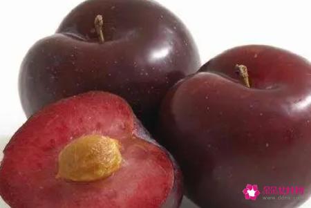 李子什么品种最好吃