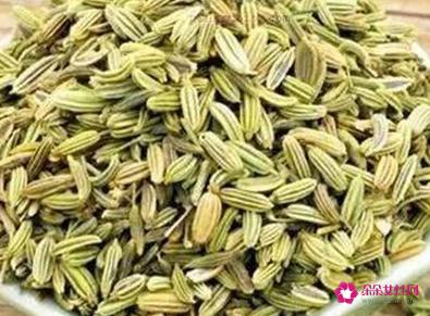小茴香和大茴香有什么区别