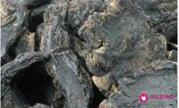 熟地黄的功效与作用及用法禁忌