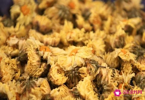 贡菊和杭白菊的区别