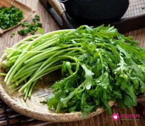 火锅蔬菜种类