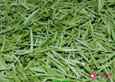 毛尖茶的好处