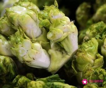 芥菜头的功效与作用