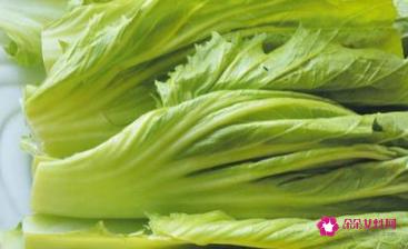 花叶芥菜图片大全