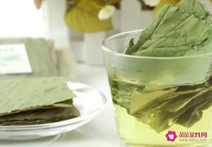 荷叶减肥茶的功效与作用及禁忌