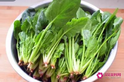 怀孕期吃什么好