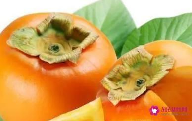 柿子和哪些食物相克