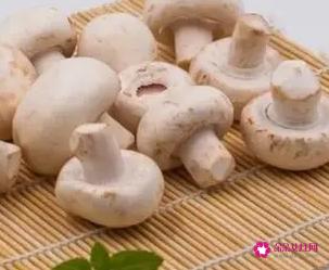 白蘑菇的家常做法大全