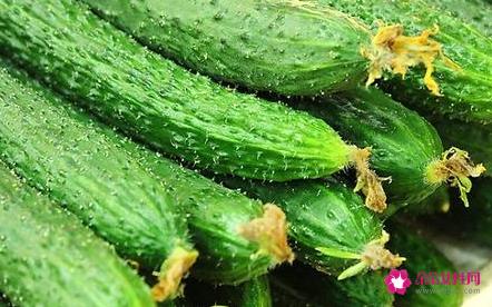 低糖主食食物一览表