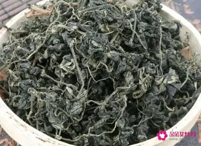 绞股蓝茶的功效与作用有哪些