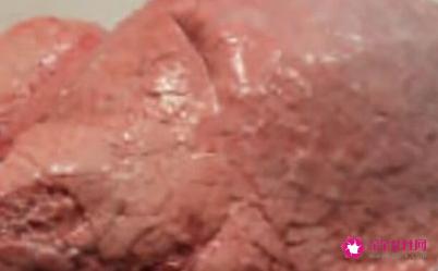 世界上最不营养的东西