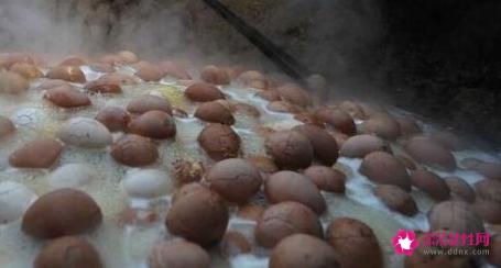 世界上最不营养的东西