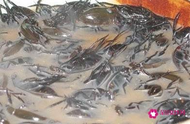 世界上最不营养的东西