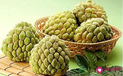 番荔枝的营养价值