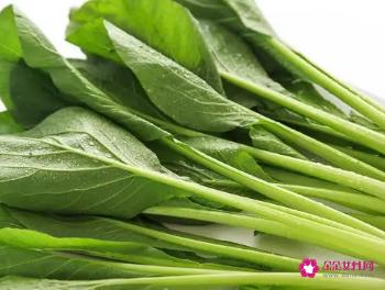 常见的蔬菜种类10种图片