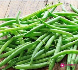 常见的蔬菜种类10种图片