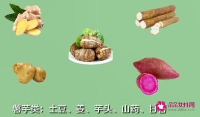 常见的蔬菜种类10种图片