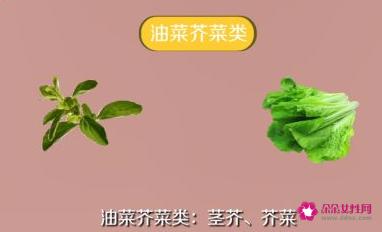 常见的蔬菜种类10种图片