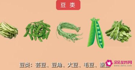 常见的蔬菜种类10种图片