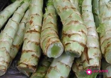常见的蔬菜种类10种图片