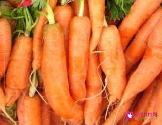 常见的蔬菜种类10种图片