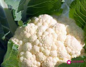 常见的蔬菜种类10种图片