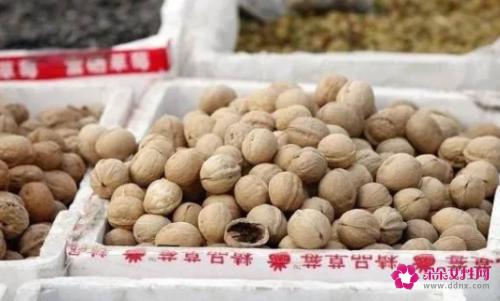 健康食品有哪些