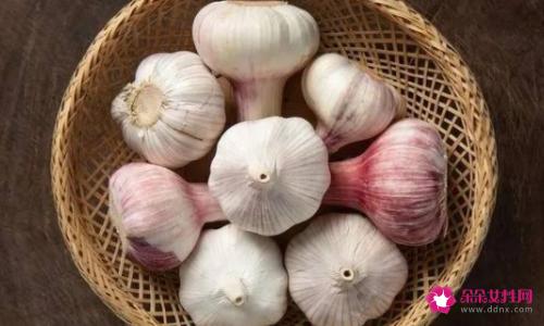 健康食品有哪些