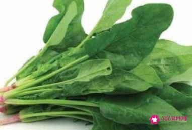 十大抗癌食物的排名