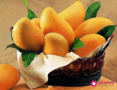 孕妇禁吃十大水果